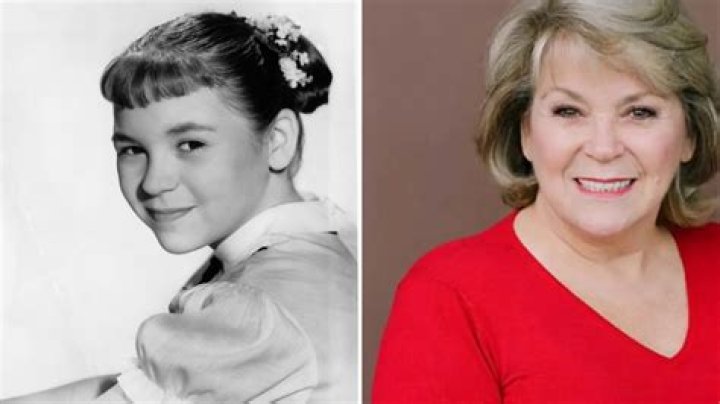 Lauren Chapin biografía, edad, altura, esposa, net worth, familia